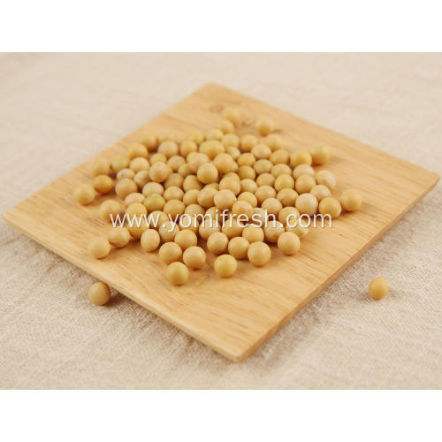 Soybean 25KG